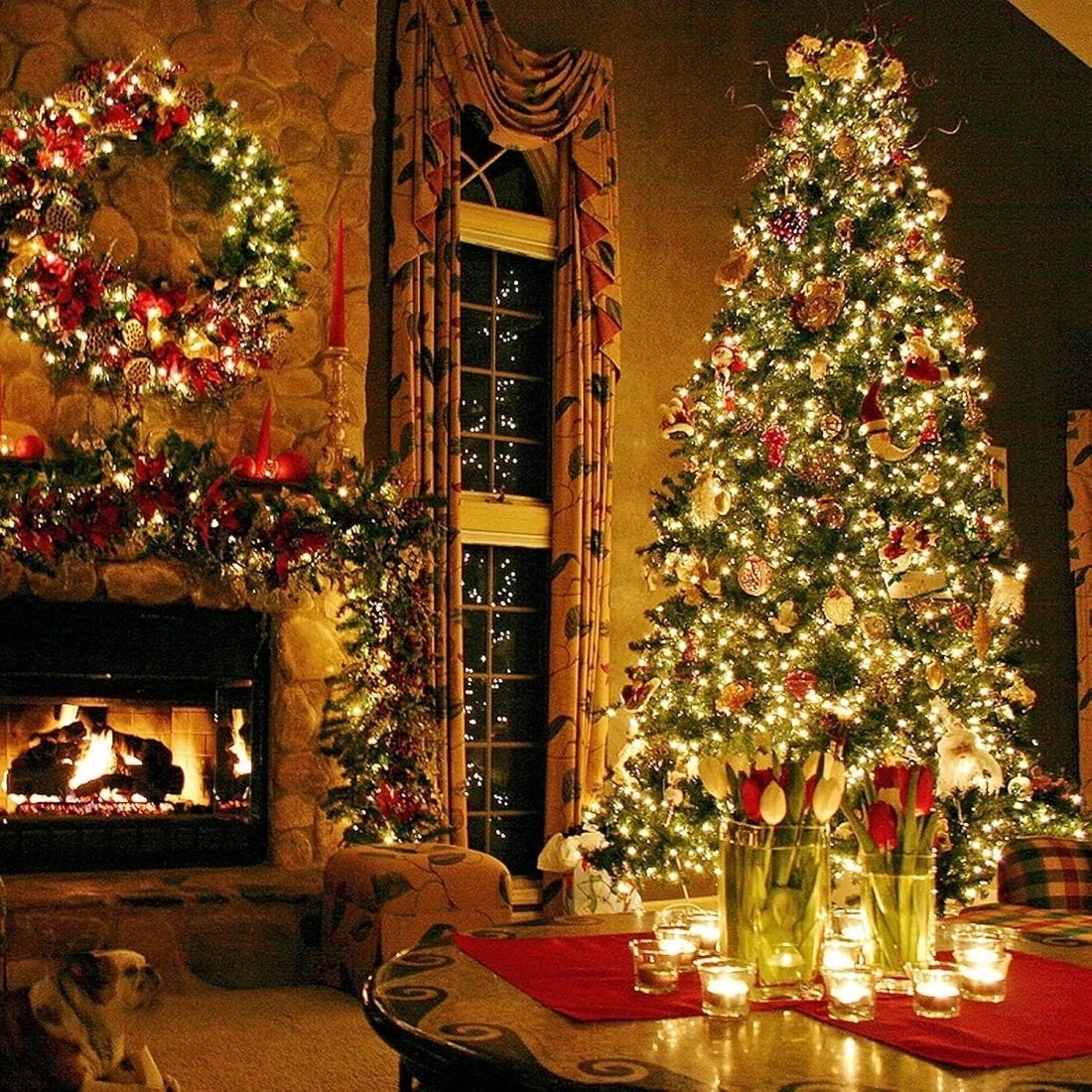 Instalatie Rola 50m, Lumini LED , Protectie Apa IP44 Alb Cald- Interior/Exterior - 220V